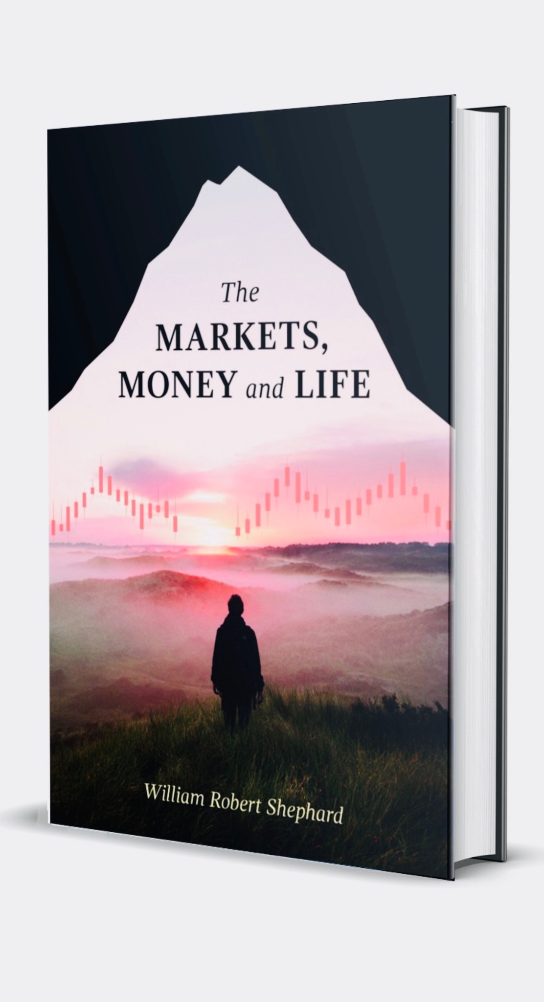 Cover of The Markets, Money & Life by William R. Shephard